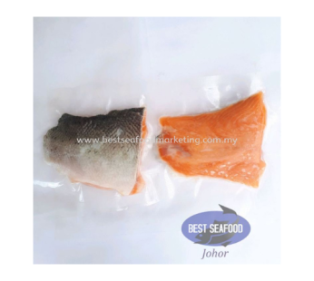 Salmon Trout Tail / 鳟鱼尾巴 140g