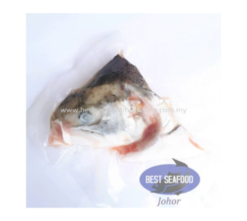 Salmon Trout Head / 鳟鱼头 220g