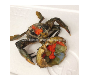 ROE Crab / 膏蟹