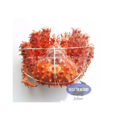 Cooked King Crab / 熟冻帝王蟹 1.7kg