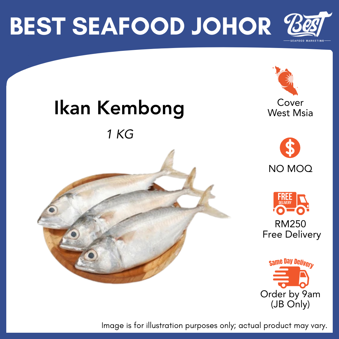 Ikan Kembong