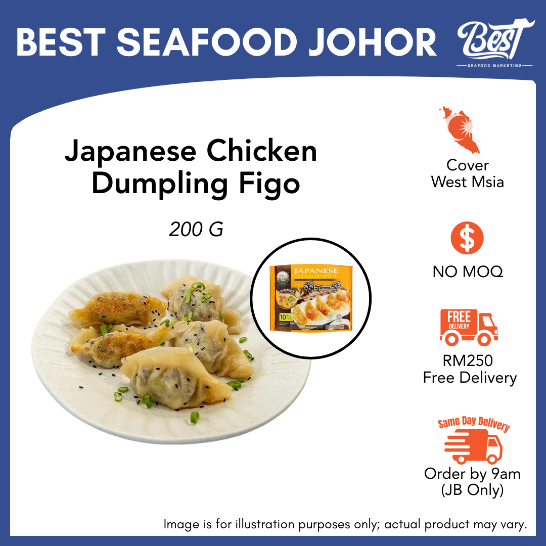 Japanese Chicken Dumpling Figo