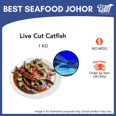 Catfish (Keli) / 泥鳅 1kg±