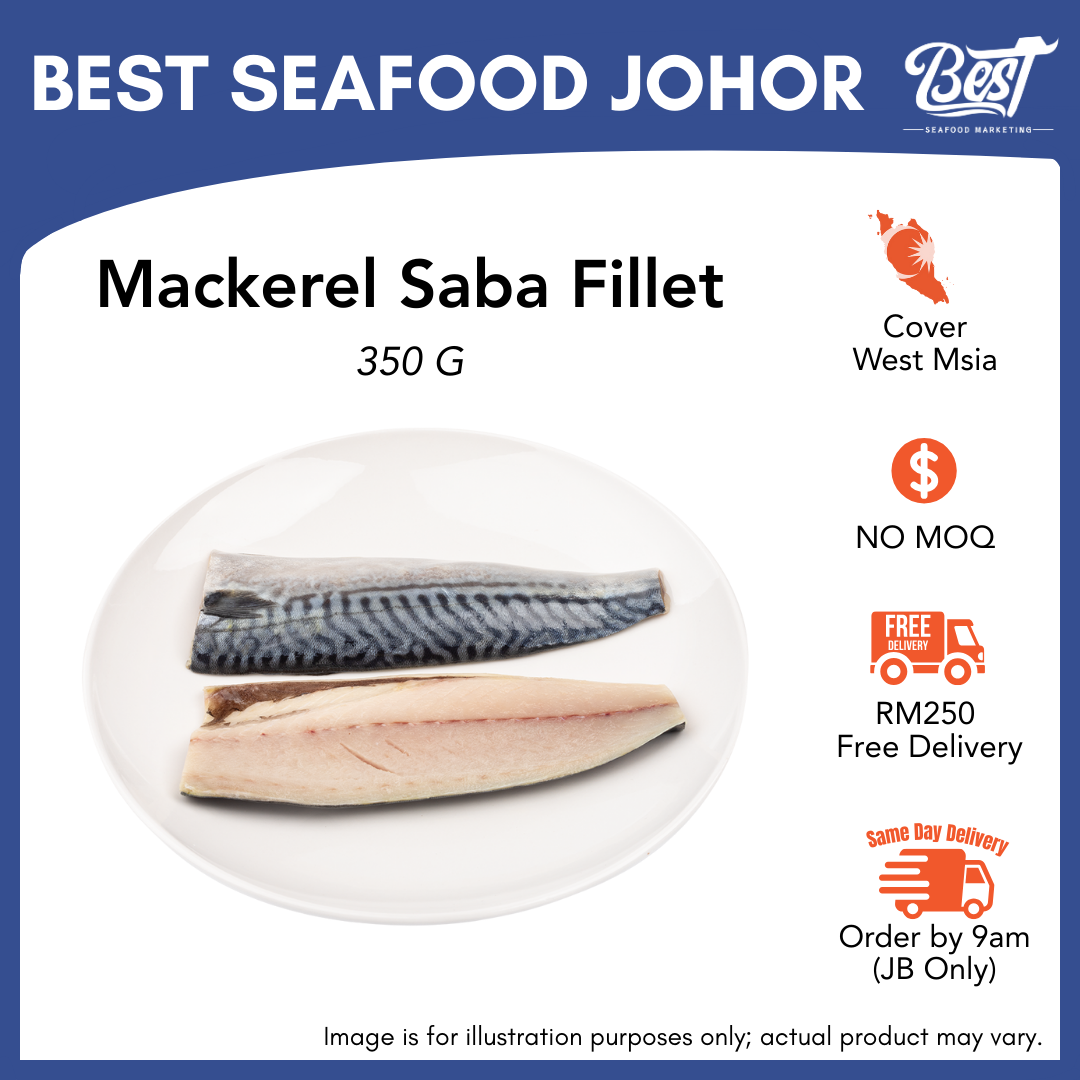 Mackerel Saba Fillet