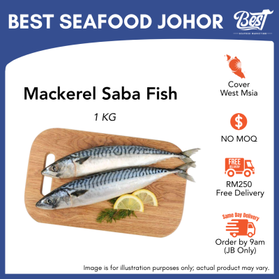Mackerel Saba / 鲭鱼 1kg±