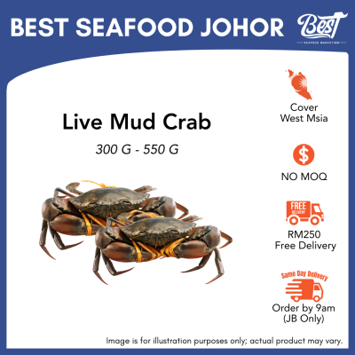 Mud Crab / 肉蟹