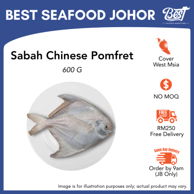 Chinese Pomfret / 斗昌 600g±