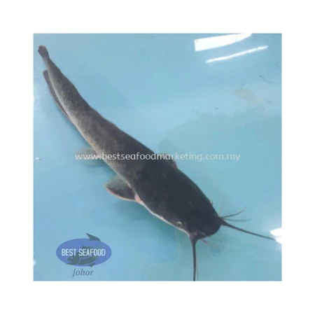 fce59aa2-9b9d-4e75-af77-f538f44369d1