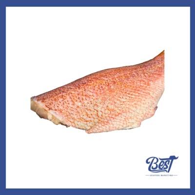 Pacific Red Fish Fillet / 太平洋深海红鱼片 1.0kg