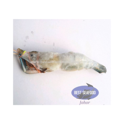 Giant Freshwater Prawn / 淡水大头虾 (Size U7) 1kg
