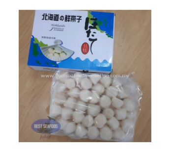 Scallop Meat / 带子肉 (Size 40-50) 500g