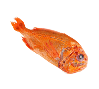 Orange Roughy / 长寿鱼
