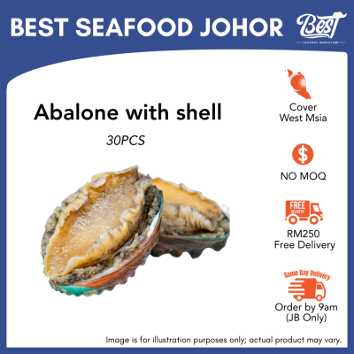 Abalone / 九孔鲍鱼 500g