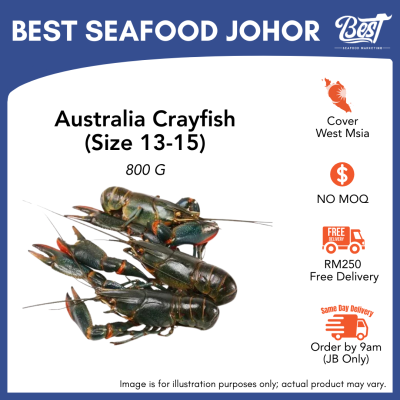 Australia Crayfish / 淡水小龙虾 (Size 13-15) 800g