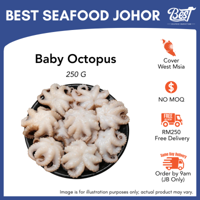 Baby Octopus / 小章鱼 (Size 12p) 250g