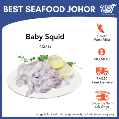 Baby Squid / 苏东仔 400g