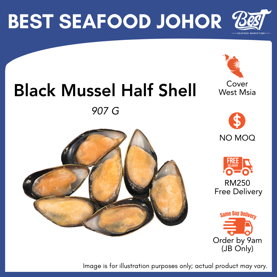 Black Mussel Half Shell