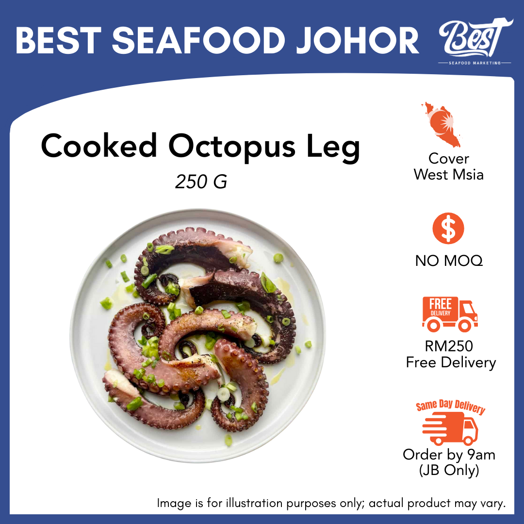 Cooked Octopus Leg