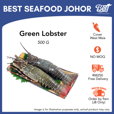 Green Lobster / 青龙虾 500g±