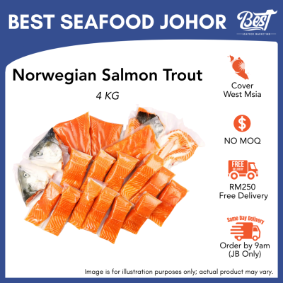 Air-Flown Norwegian Salmon Trout / 挪威鳟鱼 4kg