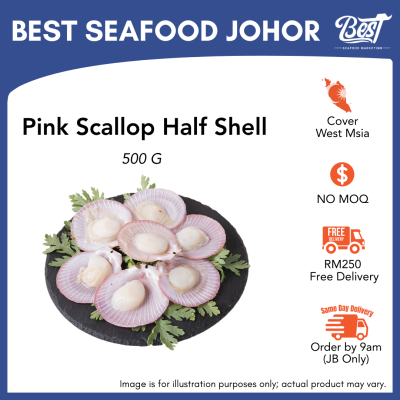 Pink Scallop Half Shell / 半壳彩色扇贝 (Size 30-40) 500g
