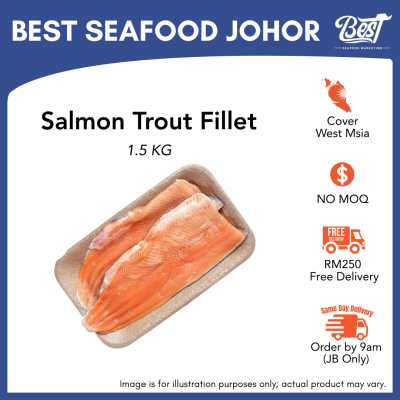 Salmon Fillet / 三文鱼片 1.5kg±
