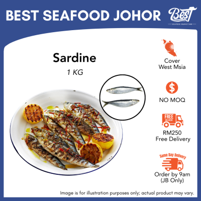 Sardine / 沙丁鱼 1kg