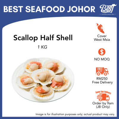 Scallop Half Shell / 半壳扇贝 (Size 8-9) 1kg