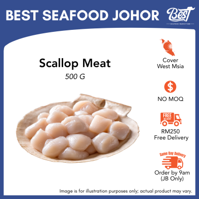 Scallop Meat / 带子肉 500g