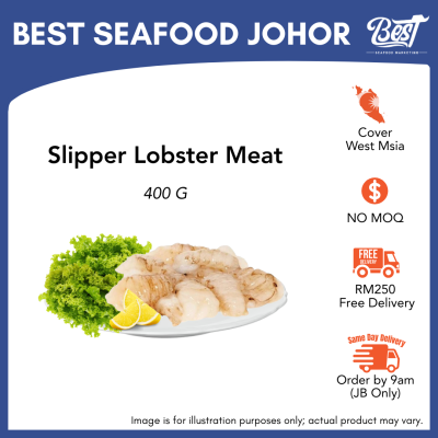 Slipper Lobster Meat / 虾婆肉 400g