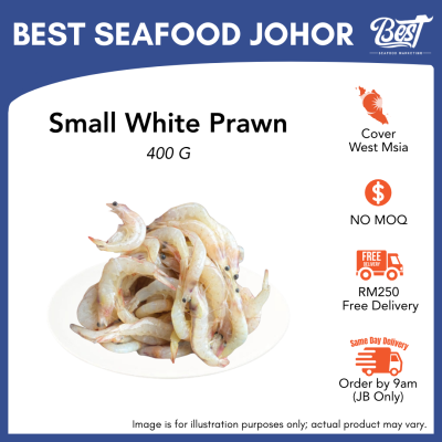 Small White Prawn / 小白虾 400g