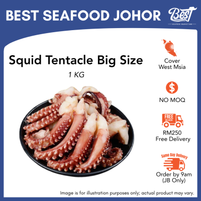 Squid Tentacle / 苏东脚 1kg