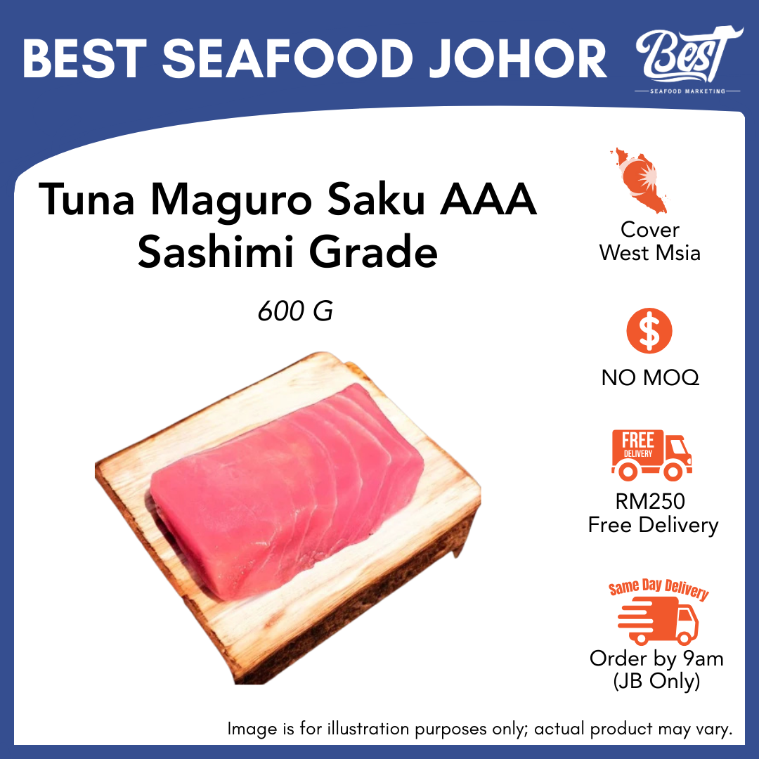 Tuna Maguro Saku AAA Sashimi Grade