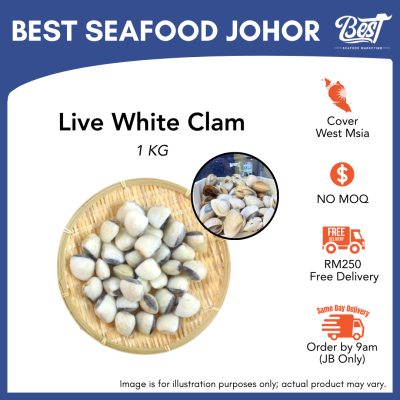 White Clam / 沙白 1kg