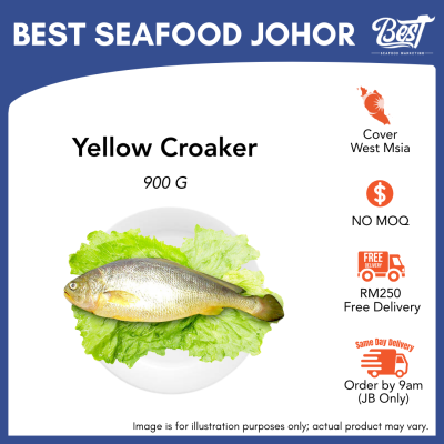 Yellow Croaker / 黄花鱼 900g
