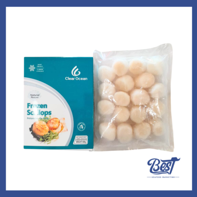 Scallop Meat / 带子肉 (Size 21-25) 500g