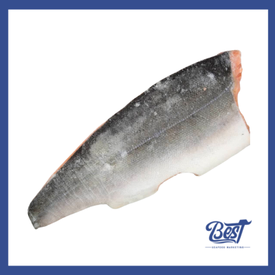 Salmon Fillet / 三文鱼片 1.2kg