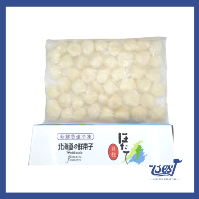 Scallop Meat / 带子肉 (Size 31-40) 1kg