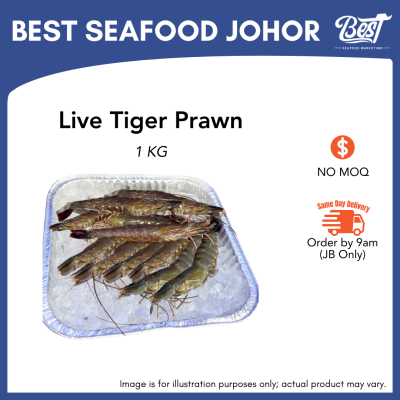Tiger Prawn / 老虎虾 1kg