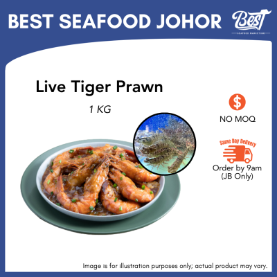 Live Tiger Prawn / 老虎虾 1kg