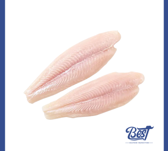 Dory Fish Fillet / 多利鱼片 1.0kg