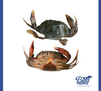 Soft Shell Crab / 软壳蟹 700g