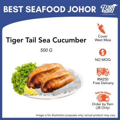 Tiger Tail Sea Cucumber / 虎皮参 500g