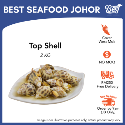 Top Shell / 花螺 2kg