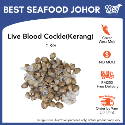 Blood Cockle (Kerang) / 血蛤 1kg