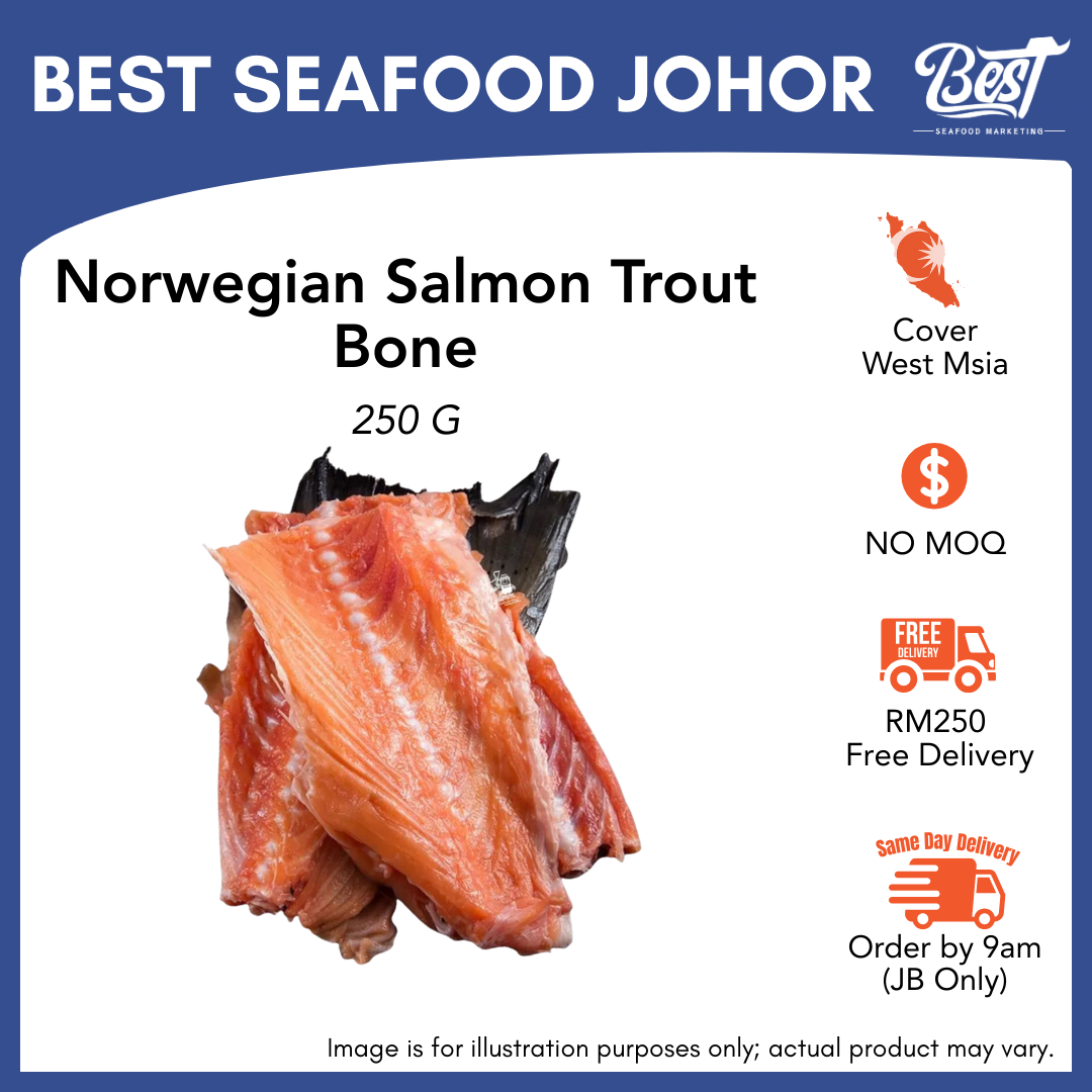 Norwegian Salmon Trout Bone