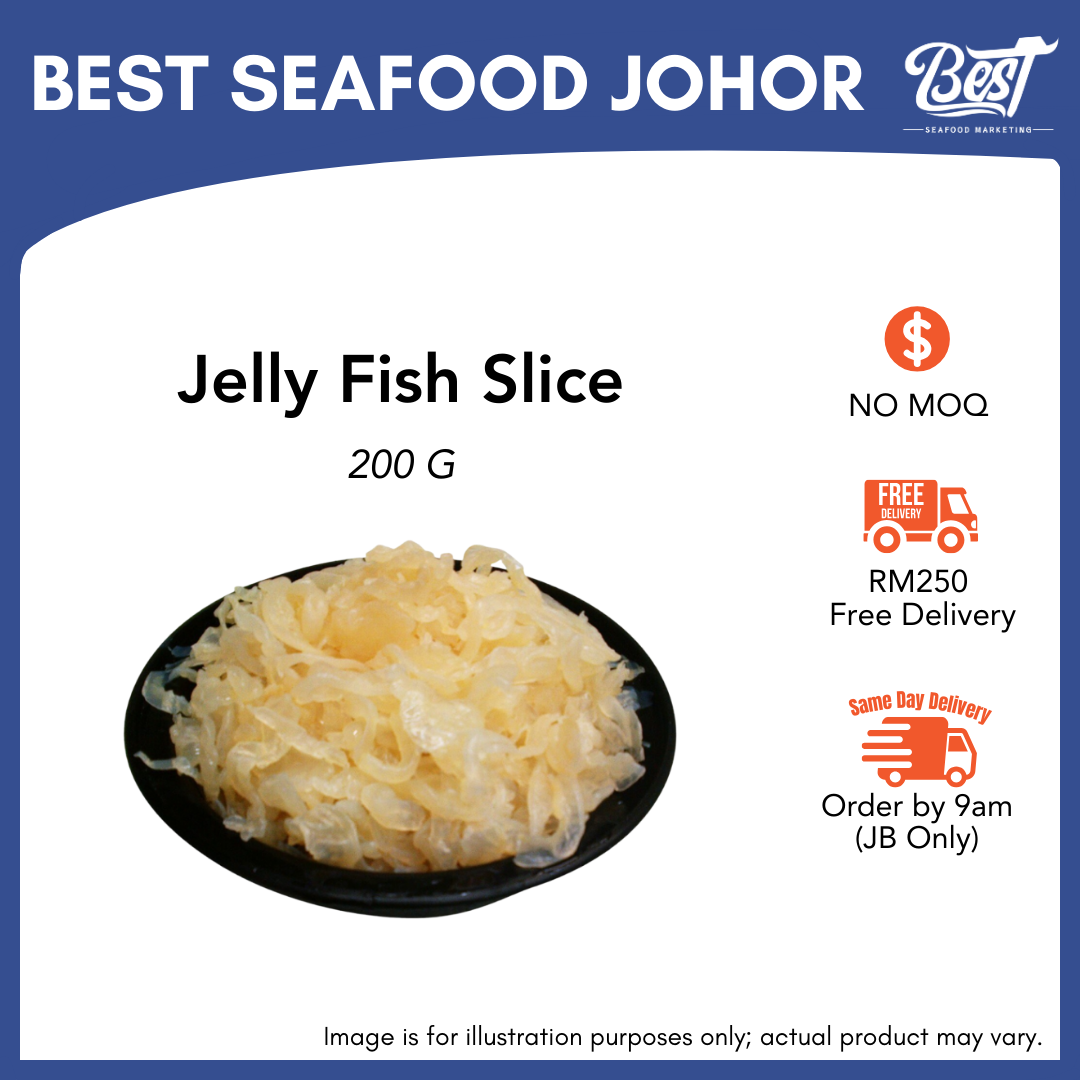 Jelly Fish Slice