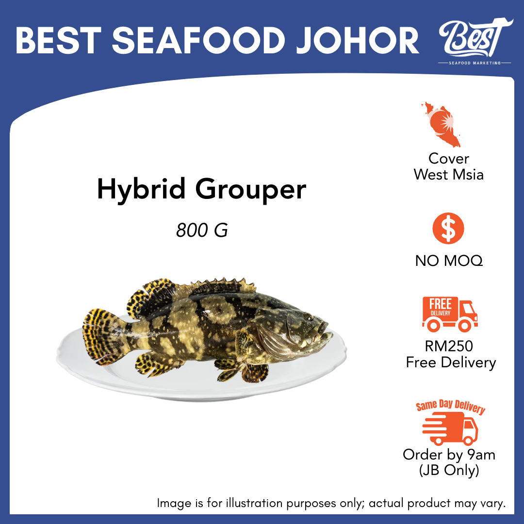 Hybrid Grouper