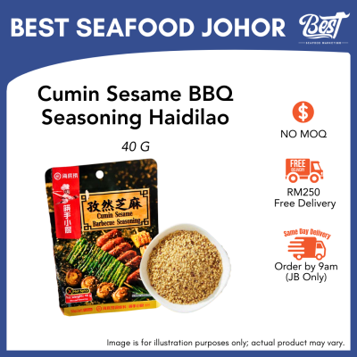 Cumin Sesame BBQ Seasoning Haidilao / 孜然芝麻烧烤料 40g