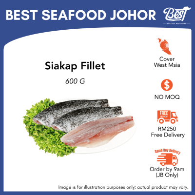 Siakap Fillet (Barramundi Fillet) 600g± 金目鲈鱼片